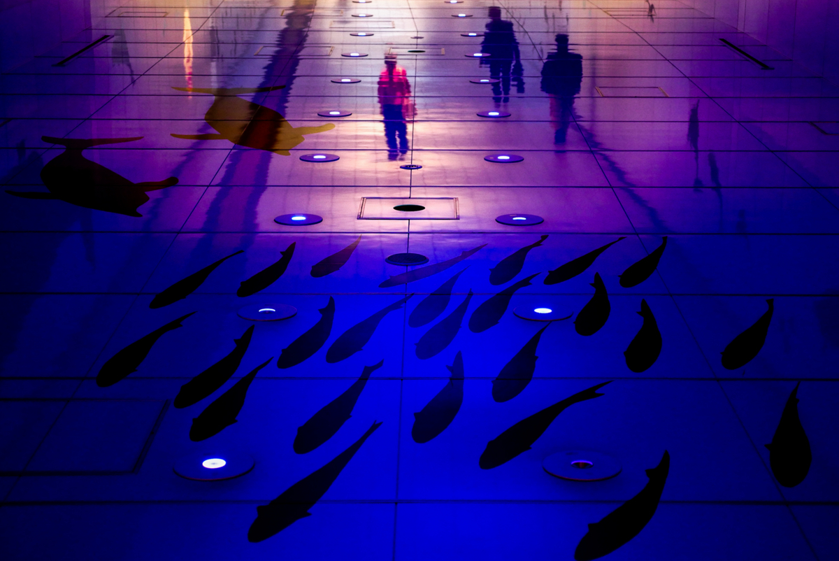 f:id:lonestartx:20180509164450j:plain