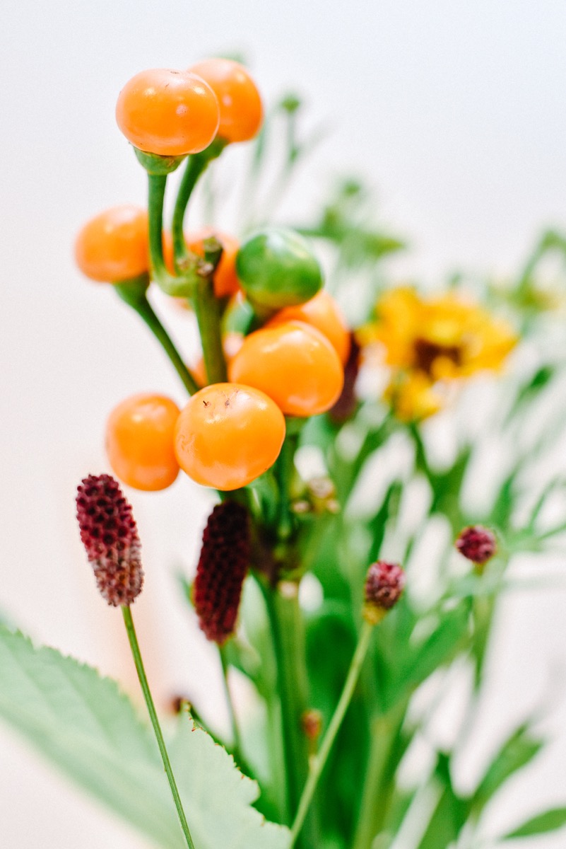 f:id:lonestartx:20180902213018j:plain