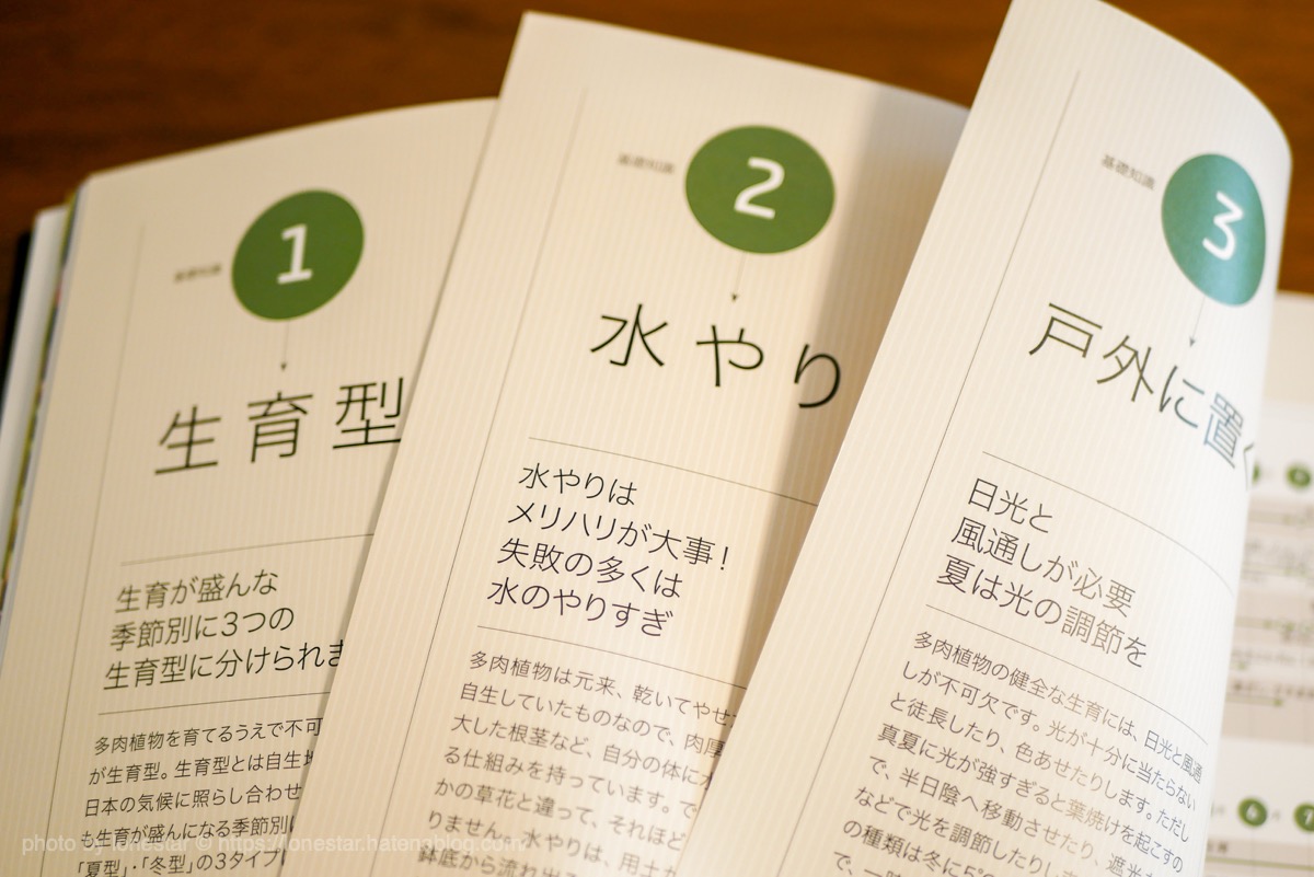 NHK趣味の園芸 多肉植物 パーフェクトブック