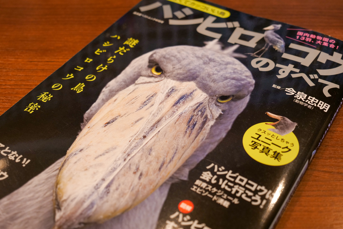 ハシビロコウのすべて Hhs