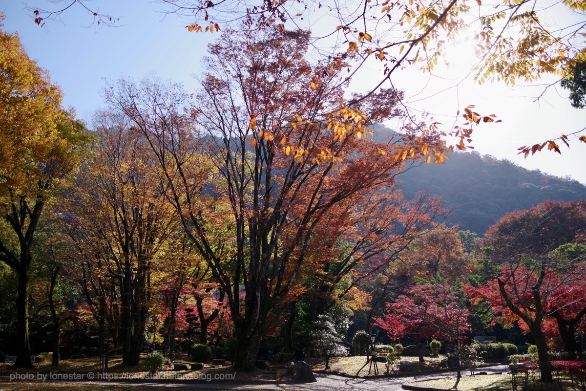金華山