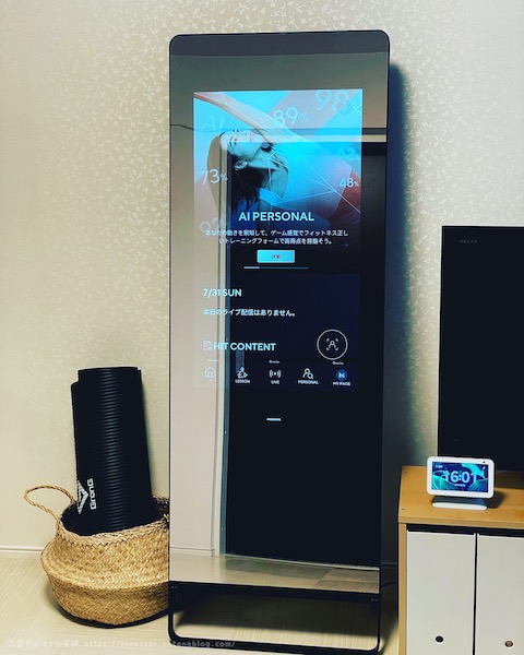 ミラーフィット