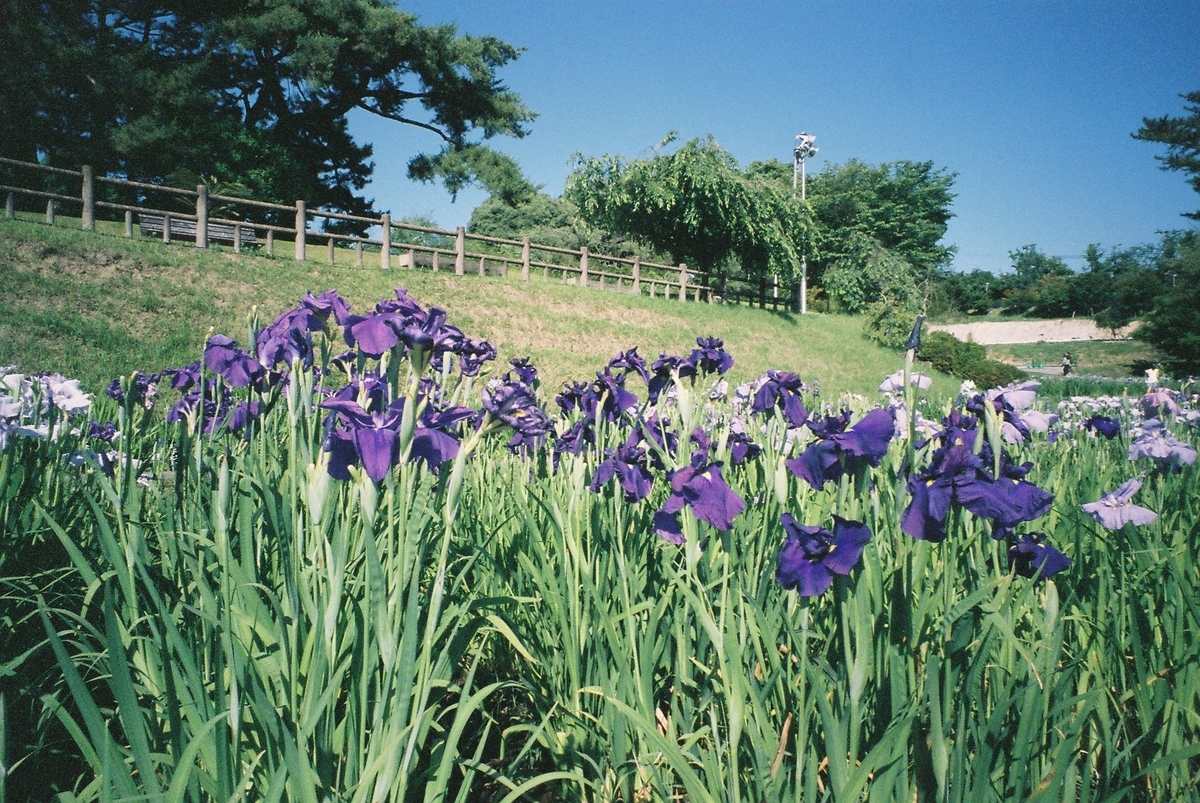 FUJIFILM PRO800Z
