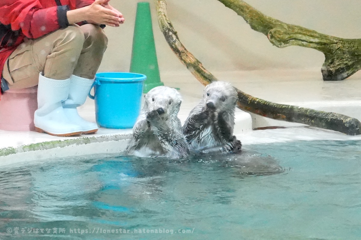 メイ　キラ　2人でポーズ