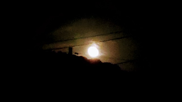 f:id:lonewolf1964:20201005212811j:image