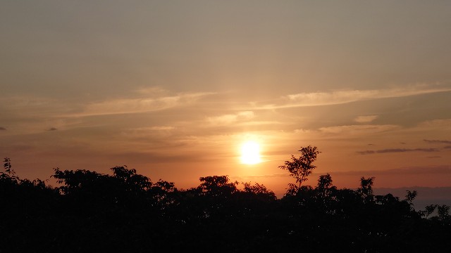 f:id:lonewolf1964:20201103204830j:image f:id:lonewolf1964:20201103204830j:image