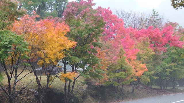 f:id:lonewolf1964:20201109212216j:image f:id:lonewolf1964:20201109212216j:image