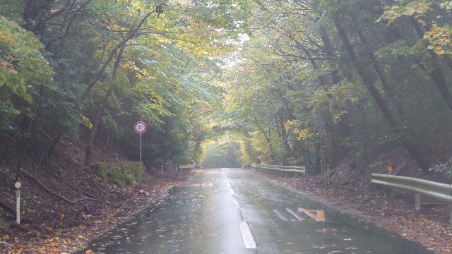 f:id:lonewolf1964:20201109212302j:image f:id:lonewolf1964:20201109212302j:image