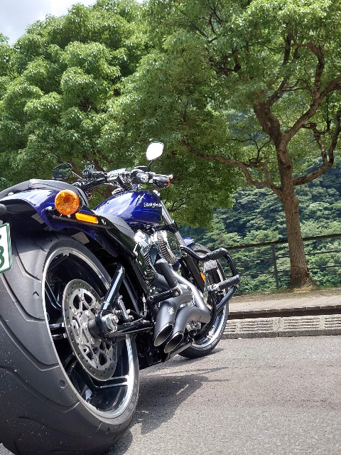 f:id:lonewolf1964:20201212025346j:image f:id:lonewolf1964:20201212025346j:image
