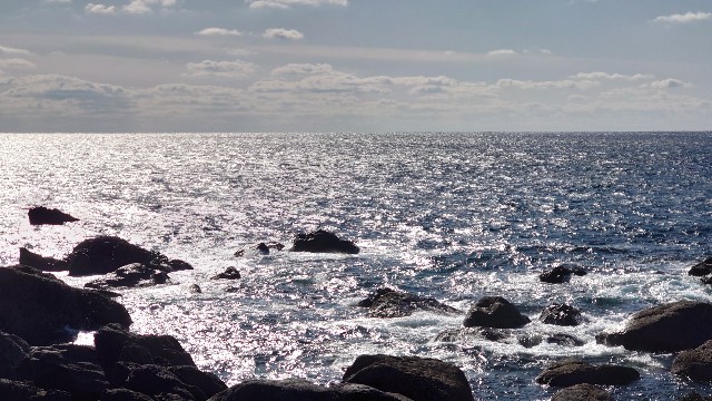 f:id:lonewolf1964:20210114215931j:image f:id:lonewolf1964:20210114215931j:image
