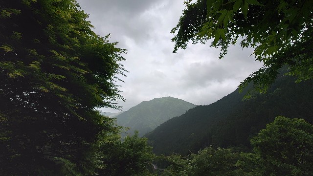 f:id:lonewolf1964:20210517213424j:image f:id:lonewolf1964:20210517213424j:image