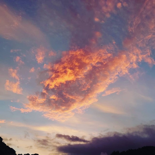 f:id:lonewolf1964:20210722111336j:image