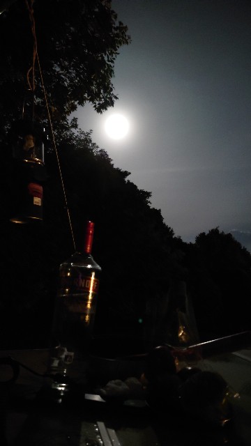 f:id:lonewolf1964:20210724143343j:image f:id:lonewolf1964:20210724143343j:image