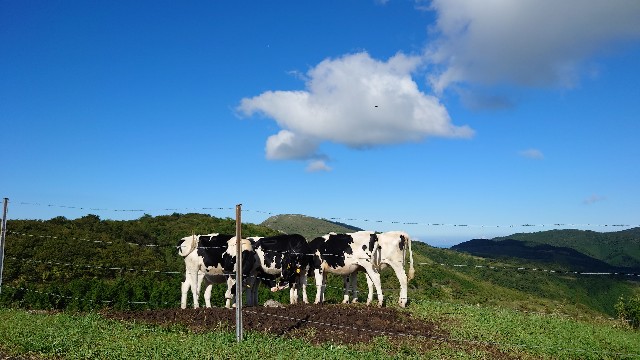 f:id:lonewolf1964:20210920161356j:image