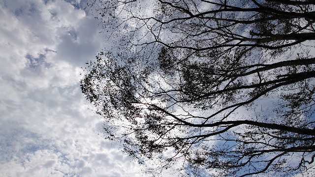 f:id:lonewolf1964:20210926133641j:image