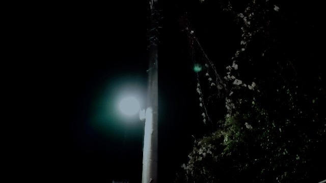 f:id:lonewolf1964:20211026214440j:image