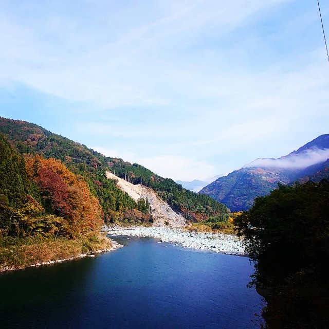 f:id:lonewolf1964:20211121210555j:image f:id:lonewolf1964:20211121210555j:image