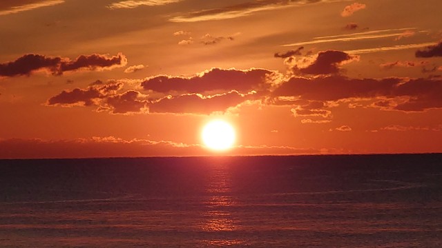 f:id:lonewolf1964:20220101091414j:image f:id:lonewolf1964:20220101091414j:image