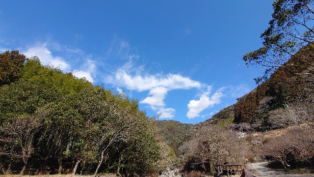 f:id:lonewolf1964:20220212202906j:image