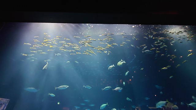 f:id:lonewolf1964:20220605102025j:image