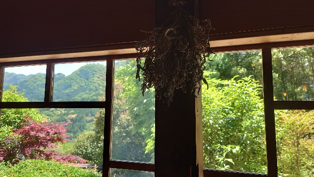 f:id:lonewolf1964:20220718053711j:image