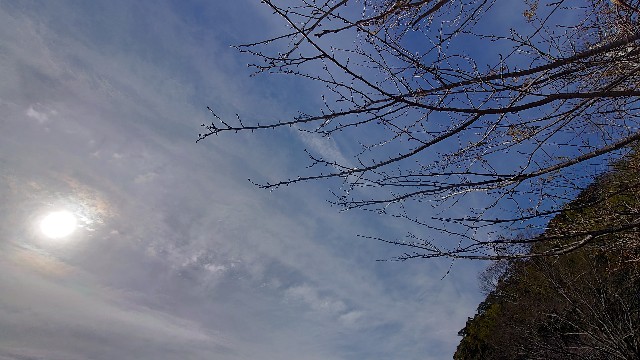 f:id:lonewolf1964:20230103162230j:image f:id:lonewolf1964:20230103162230j:image