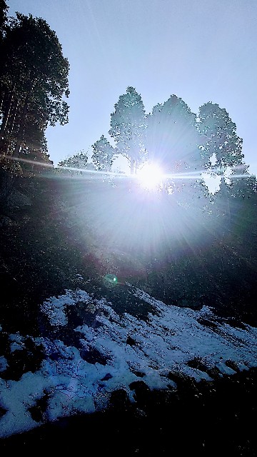 f:id:lonewolf1964:20230110123857j:image