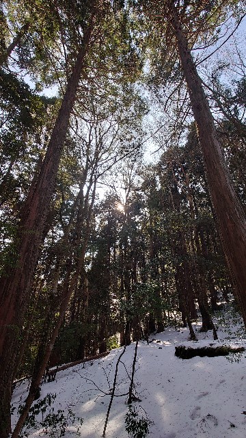 f:id:lonewolf1964:20230110124041j:image