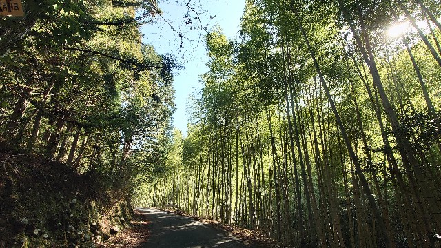 f:id:lonewolf1964:20230110124111j:image