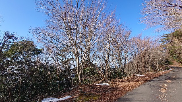 f:id:lonewolf1964:20230110124320j:image