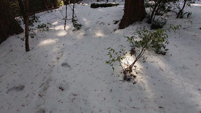 f:id:lonewolf1964:20230110124448j:image