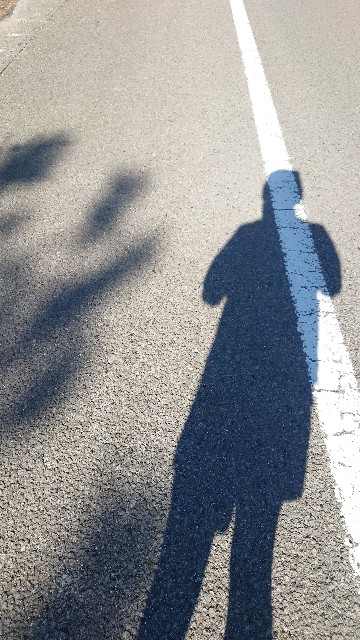 f:id:lonewolf1964:20230129072131j:image