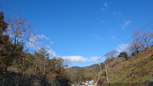 f:id:lonewolf1964:20230129072950j:image