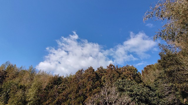 f:id:lonewolf1964:20230129090435j:image