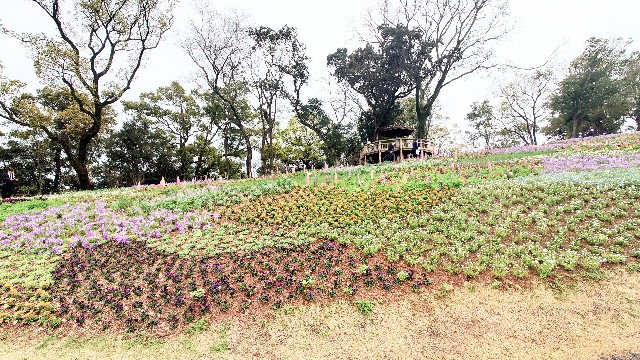 f:id:lonewolf1964:20230326215834j:image