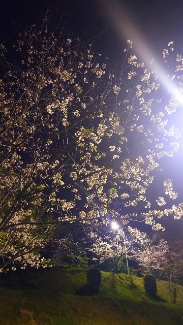 f:id:lonewolf1964:20230402210359j:image