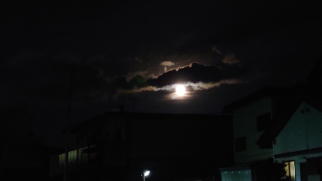 f:id:lonewolf1964:20230409123630j:image f:id:lonewolf1964:20230409123630j:image