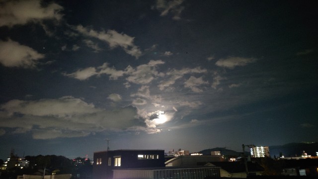 f:id:lonewolf1964:20230409123759j:image f:id:lonewolf1964:20230409123759j:image