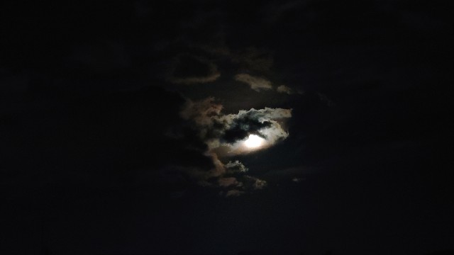 f:id:lonewolf1964:20230409124757j:image f:id:lonewolf1964:20230409124757j:image