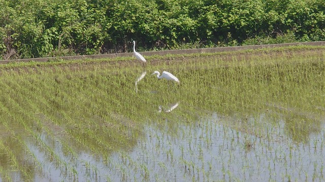 f:id:lonewolf1964:20230423161518j:image