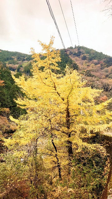 f:id:lonewolf1964:20231112153936j:image