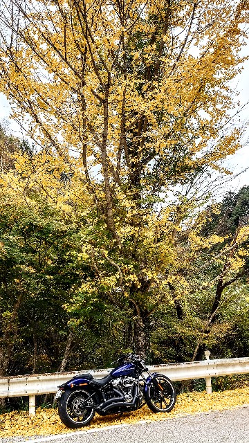 f:id:lonewolf1964:20231112161636j:image