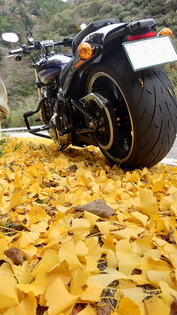 f:id:lonewolf1964:20231112161659j:image