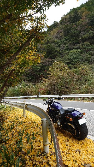 f:id:lonewolf1964:20231112161734j:image