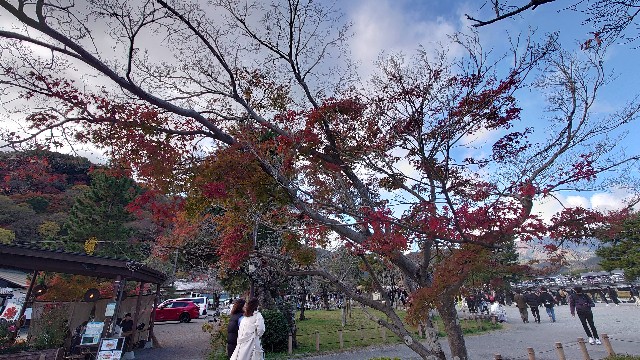 f:id:lonewolf1964:20231127152220j:image