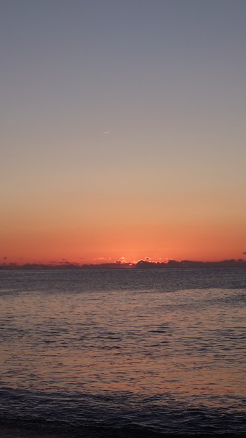 f:id:lonewolf1964:20240102093642j:image f:id:lonewolf1964:20240102093642j:image