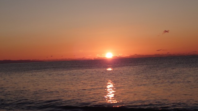 f:id:lonewolf1964:20240102093850j:image f:id:lonewolf1964:20240102093850j:image