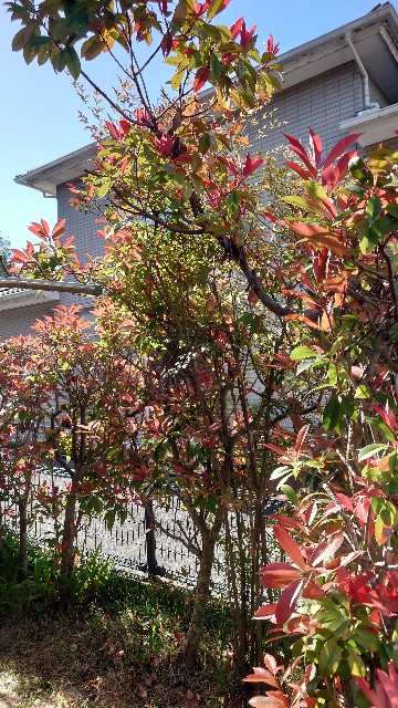 f:id:lonewolf1964:20240414111124j:image f:id:lonewolf1964:20240414111124j:image