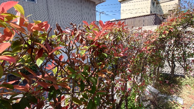 f:id:lonewolf1964:20240414111325j:image f:id:lonewolf1964:20240414111325j:image