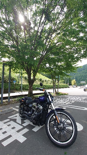 f:id:lonewolf1964:20240518212532j:image